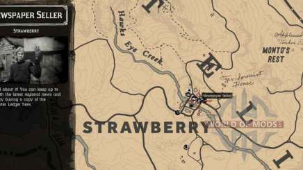 newspaper Seller in Strawberry-detailed map