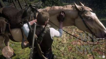 Horse Buell in RDR 2