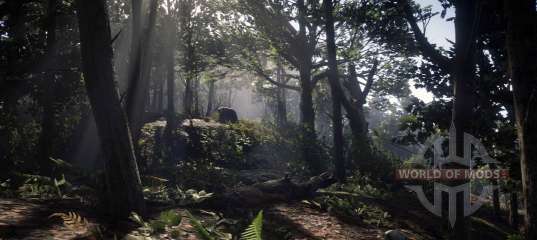How to find all the treasures of the Black bone forest in RDR Online