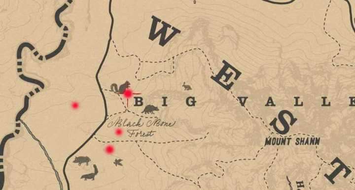 Todos os mapas de tesouro em Red Dead Redemption 2, caches e