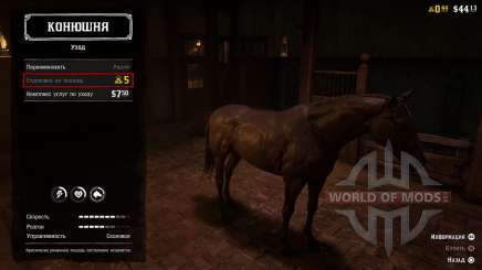Horse Insurance in RDR 2