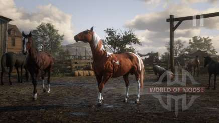 Horse in RDR 2