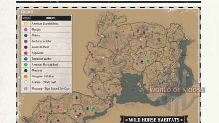 Wild horse Map in RDR 2