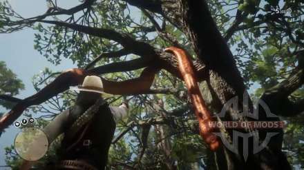 How to cure a snake bite in RDR 2? What means will help to remove the poison?
