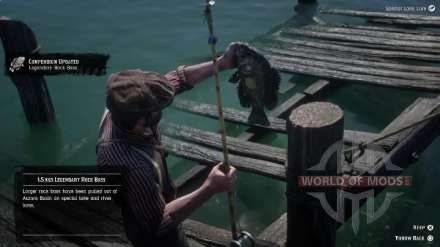 Legendary red-eyed rock bass in RDR 2: how to catch a fish