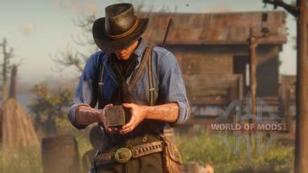 How to take a photo in RDR 2? Is it possible take a selfie? Detailed instruction
