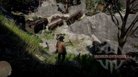 How to find a destroyed train in RDR 2? Interesting finds inside