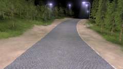 The road from pavers for Spin Tires
