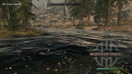 Pure waters-mod, which improves water for Skyrim