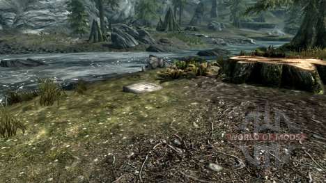 All of the items in the game for Skyrim