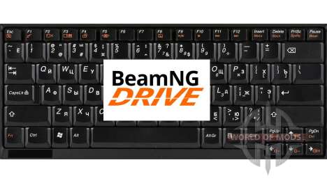 Replacing the standard control for BeamNG Drive