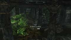 Get perks lycanthropy without skill for Skyrim