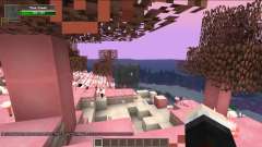 Sweet valley for Minecraft