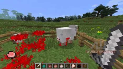 Blood for Minecraft