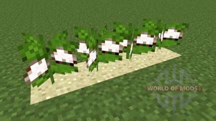 Desert Cotton Mod for Minecraft