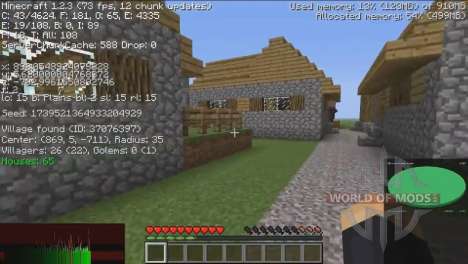 Information about the villages for Minecraft