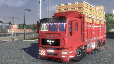 MAN TGL Camion for Euro Truck Simulator 2