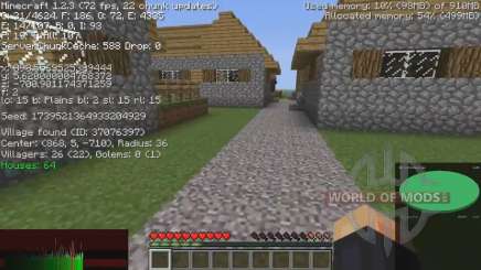 Information about the villages for Minecraft