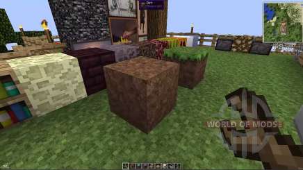 Flipping blocks for Minecraft