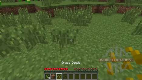 Different seeds for Minecraft