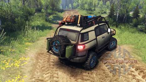 Toyota FJ Cruiser brown for Spin Tires