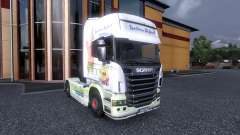 Color-Spongebob - truck Scania for Euro Truck Simulator 2