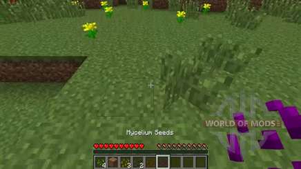 Different seeds for Minecraft