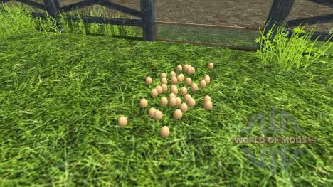 The accuracy of eggs for Farming Simulator 2013