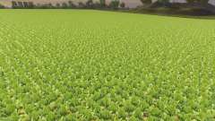 Disabling withering crops for Farming Simulator 2013