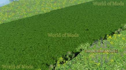 New textures of cut grass and hay for Farming Simulator 2015