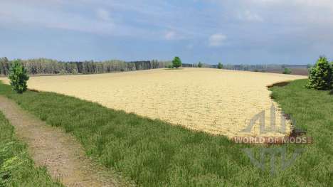 Map SEC Borki agro for Farming Simulator 2013