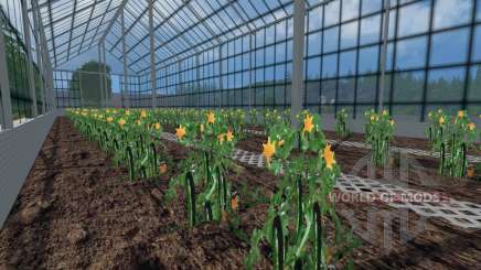 Greenhouses for tomatoes and cucumbers for Farming Simulator 2015