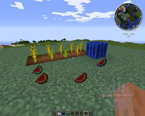 Elemental Melons for Minecraft