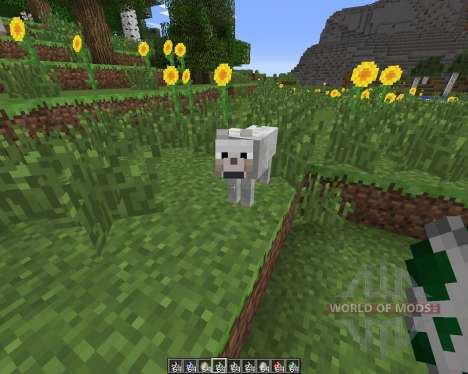 More Wolves for Minecraft