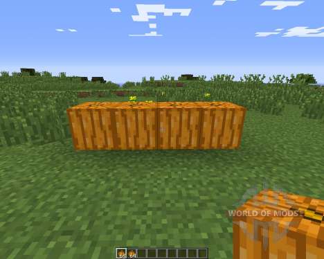 Pumpkin Carvier for Minecraft