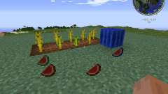 Elemental Melons for Minecraft