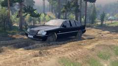 Mercedes W140 for Spin Tires