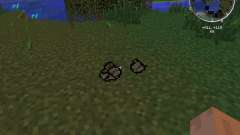 Fruit Charcoal for Minecraft