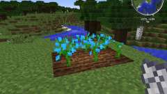Growing Flowers for Minecraft