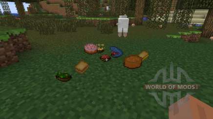 UsefulFood for Minecraft