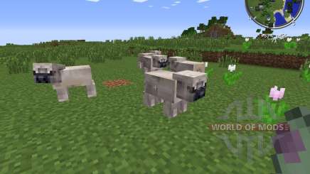 Pug Life for Minecraft