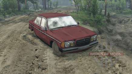 Mercedes W123D for Spin Tires