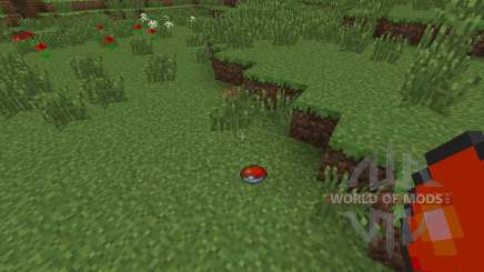 Pokeball for Minecraft