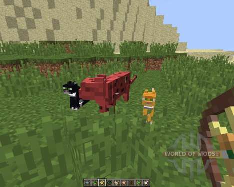 Animal Bikes [1.8] for Minecraft
