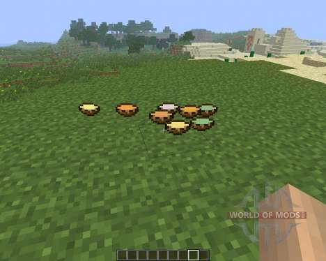 Soup [1.6.4] for Minecraft