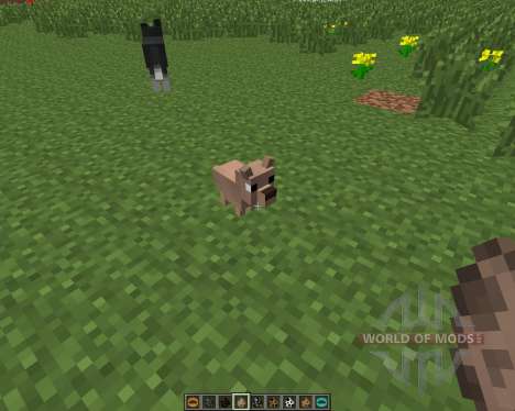 Copious Dogs [1.6.4] for Minecraft