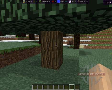 MoreInfo for Minecraft