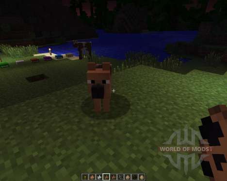 Copious Dogs [1.6.2] for Minecraft