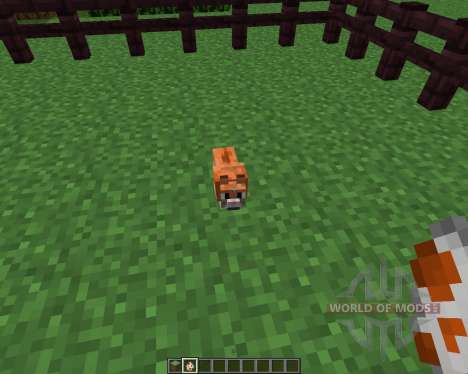 Invincible Hamster [1.5.2] for Minecraft
