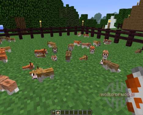 Invincible Hamster [1.5.2] for Minecraft
